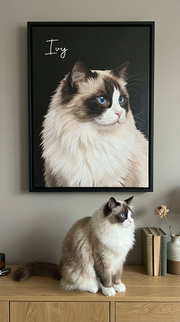 Pet portrait 1