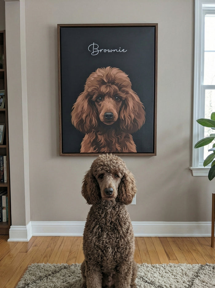 The Canvas Studio